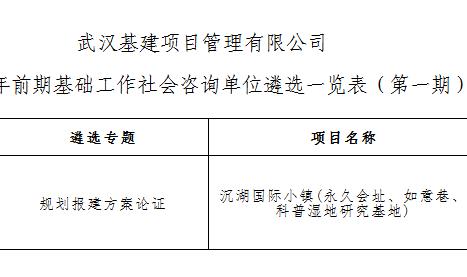 武漢基建項目管理有限公司關于2025年前期基礎...